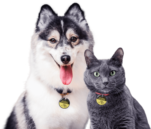 Pet Tap  «έξυπνο» μενταγιόν ανεύρεσης κατοικιδίων